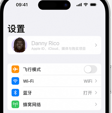 酒泉appleID维修服务iPhone设置中Apple ID显示为灰色无法使用