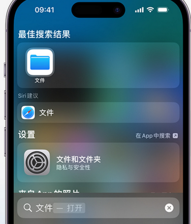 酒泉apple维修中心分享iPhone文件应用中存储和找到下载文件