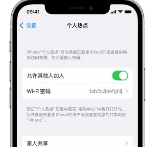 酒泉apple服务站点分享iPhone上个人热点丢失了怎么办 