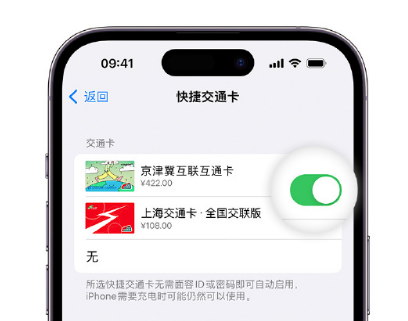 酒泉apple维修点分享iPhone上更换Apple Pay快捷交通卡手绘卡面 