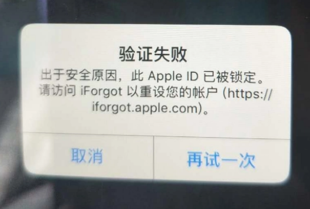 酒泉iPhone维修分享iPhone上正常登录或使用AppleID怎么办 