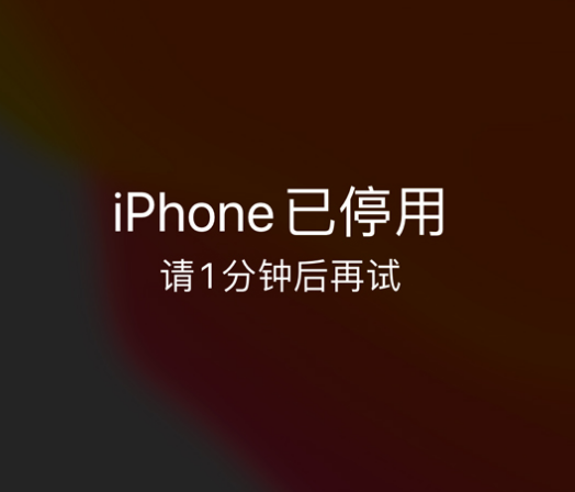 酒泉苹果手机维修分享:iPhone 显示“不可用”或“已停用”怎么办？还能保留数据吗？ 