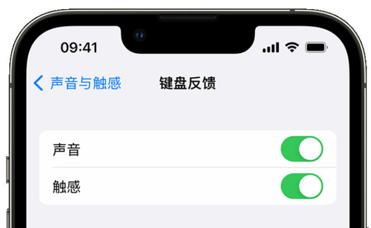 酒泉苹果手机维修分享iPhone 14触感键盘使用方法 