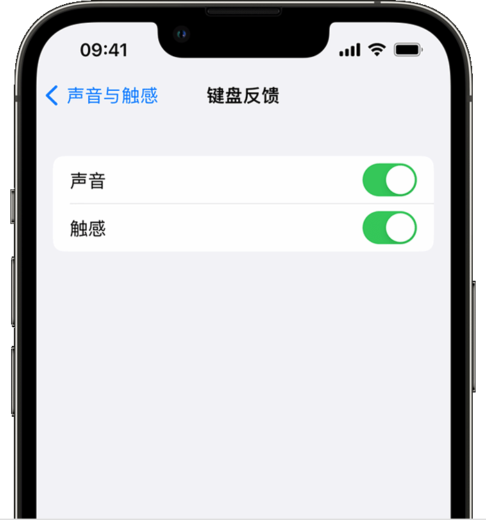 酒泉苹果14维修店分享如何在 iPhone 14 机型中使用触感键盘 