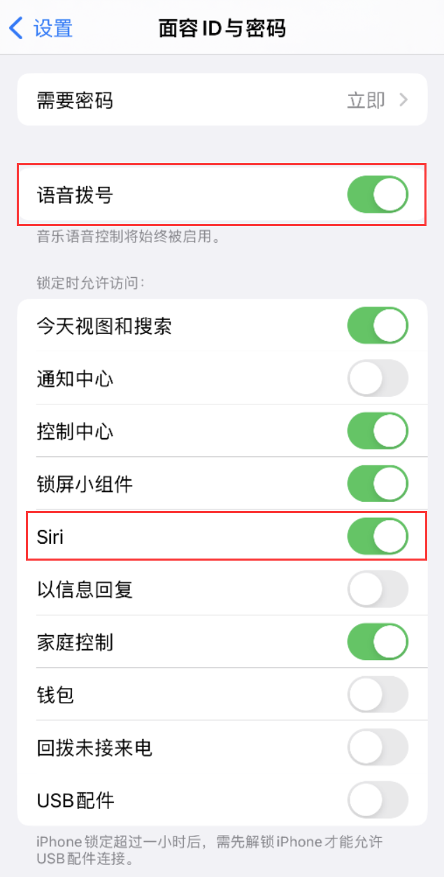 酒泉苹果维修网点分享不解锁 iPhone 的情况下通过 Siri 拨打电话的方法 