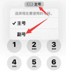 酒泉苹果14维修店分享iPhone 14 Pro Max使用副卡打电话的方法 