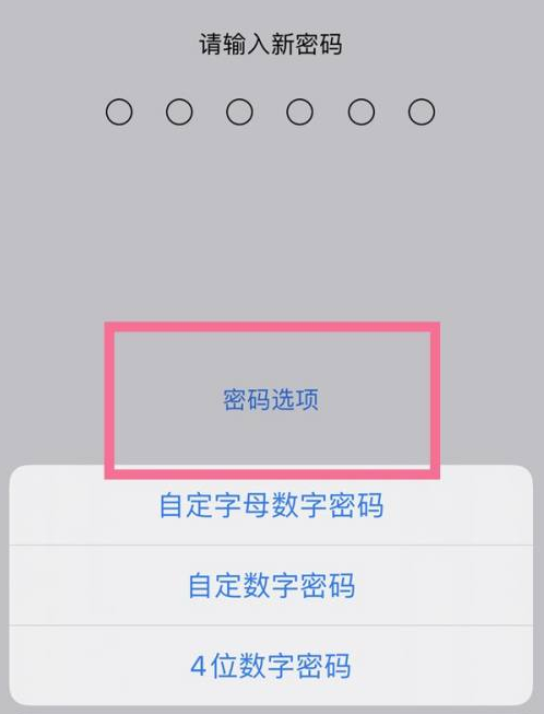 酒泉苹果14维修分享iPhone 14plus设置密码的方法 