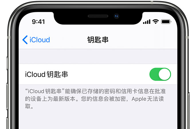 酒泉苹果手机维修分享在 iPhone 上开启 iCloud 钥匙串之后会储存哪些信息 